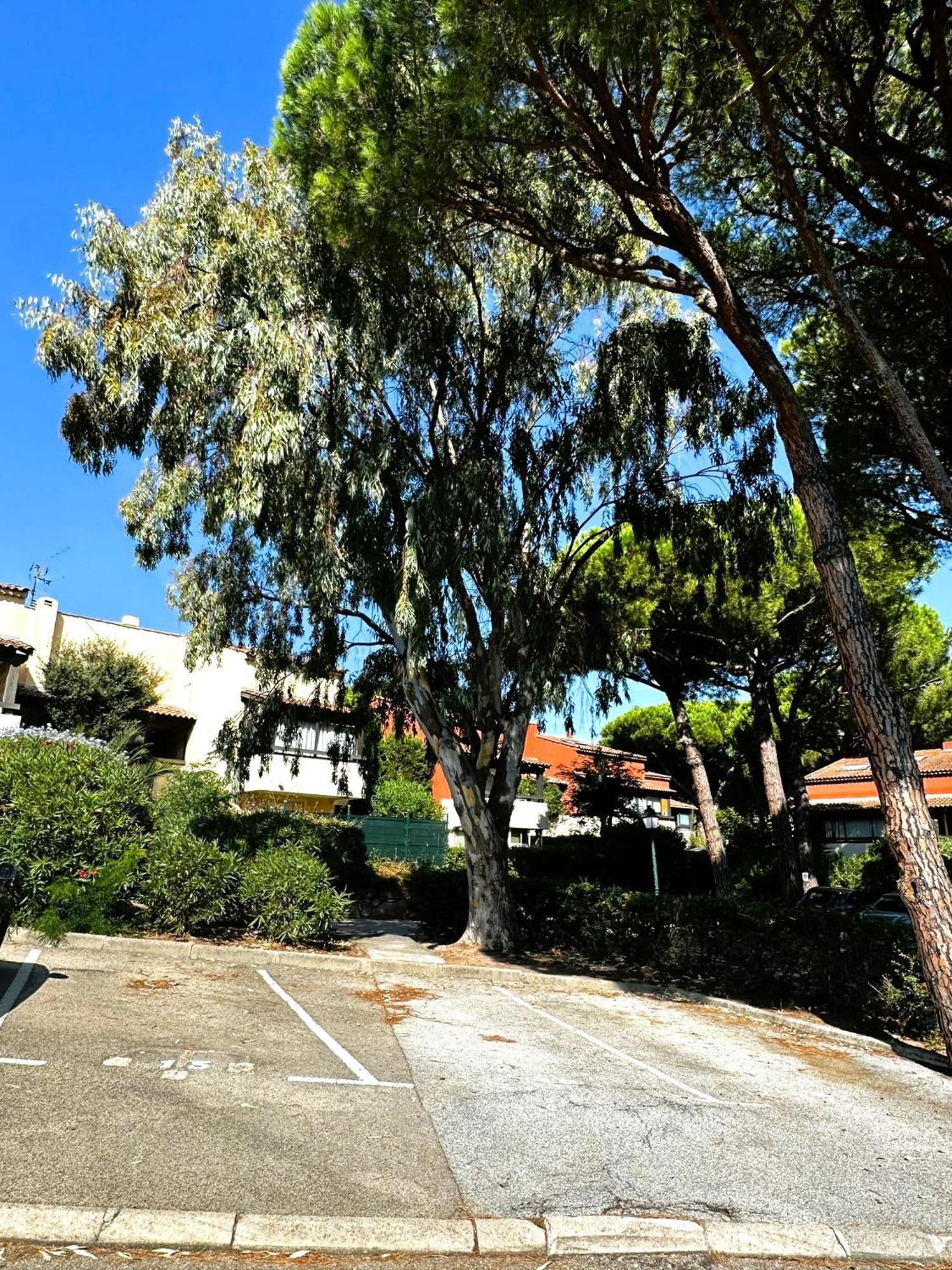 Frejus - Appartement 4 Personnes - Piscine מראה חיצוני תמונה